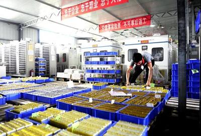 兩日后17萬義馬人民攜手國家級文學大咖共同領略能化新城風采